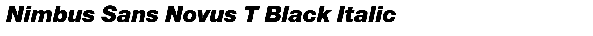 Nimbus Sans Novus T Black Italic image